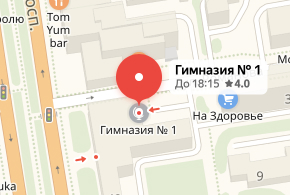 Здание гимназии по адресу Красный проспект, д. 48, г. Новосибирск